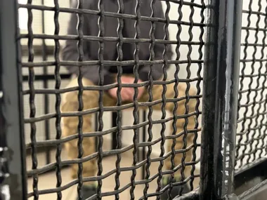 Pijany 37-latek wtargnął do byłej partnerki - skończył w areszcie